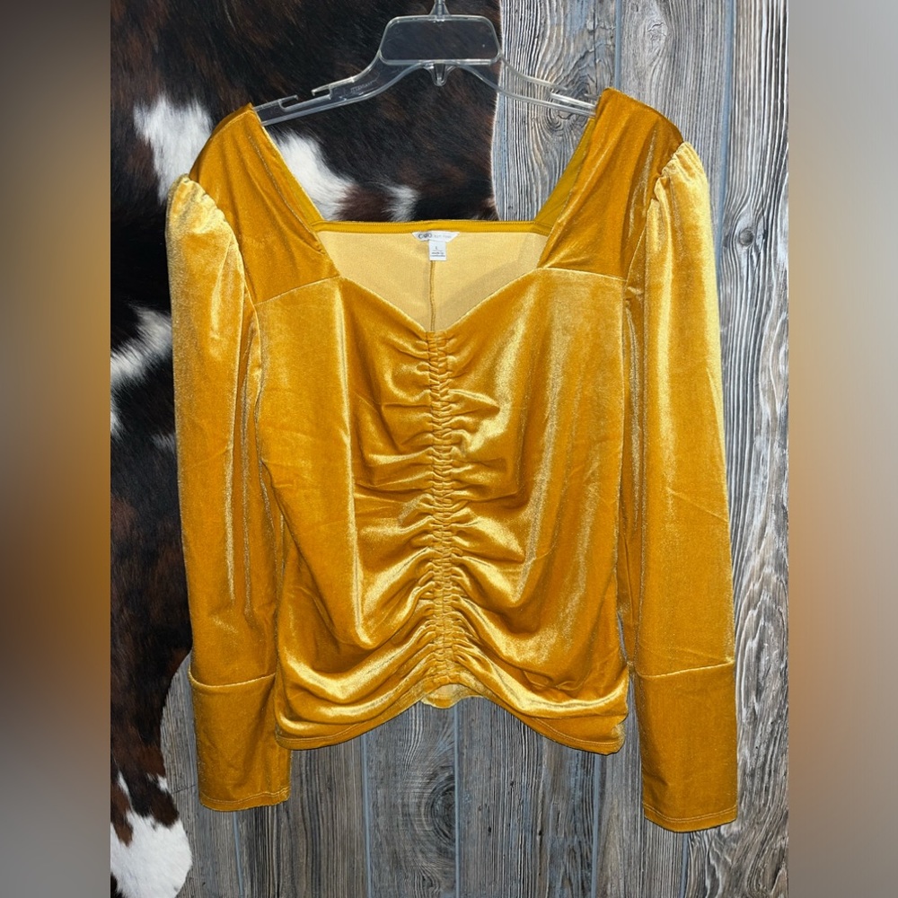 Cato  golden yellow velour square neck long sleeve scrunch front top